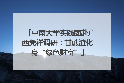 中南大学实践团赴广西凭祥调研：甘蔗渣化身“绿色财富”