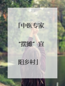 中医专家“摆摊”宜阳乡村