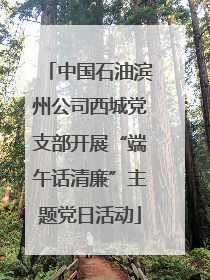 中国石油滨州公司西城党支部开展“端午话清廉”主题党日活动