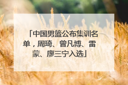 中国男篮公布集训名单，周琦、曾凡博、雷蒙、廖三宁入选