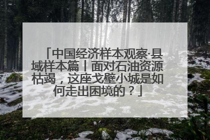 中国经济样本观察·县域样本篇丨面对石油资源枯竭，这座戈壁小城是如何走出困境的？