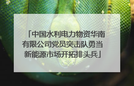 中国水利电力物资华南有限公司党员突击队勇当新能源市场开拓排头兵