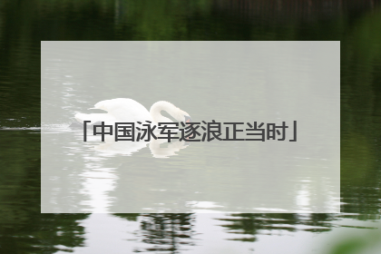 中国泳军逐浪正当时