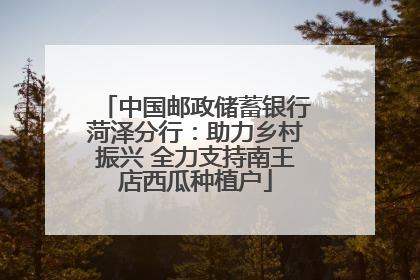 中国邮政储蓄银行菏泽分行：助力乡村振兴 全力支持南王店西瓜种植户