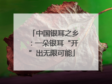 中国银耳之乡：一朵银耳“开”出无限可能