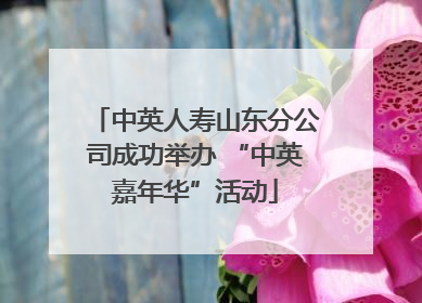 中英人寿山东分公司成功举办 “中英嘉年华”活动