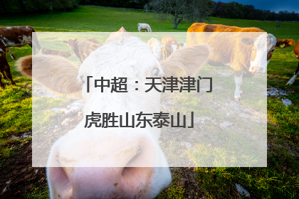 中超：天津津门虎胜山东泰山