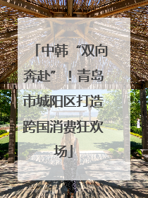 中韩“双向奔赴”！青岛市城阳区打造跨国消费狂欢场
