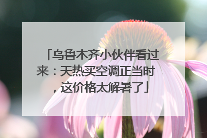 乌鲁木齐小伙伴看过来：天热买空调正当时，这价格太解暑了