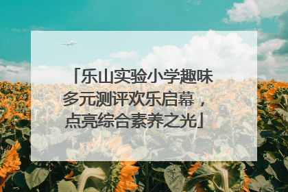 乐山实验小学趣味多元测评欢乐启幕，点亮综合素养之光