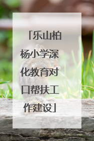 乐山柏杨小学深化教育对口帮扶工作建设