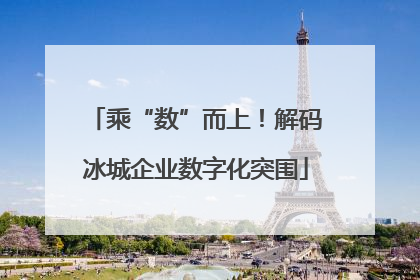 乘“数”而上！解码冰城企业数字化突围