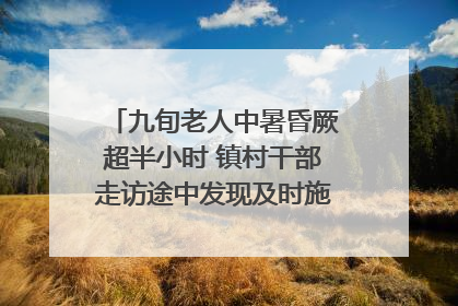 九旬老人中暑昏厥超半小时 镇村干部走访途中发现及时施救｜看见正能量