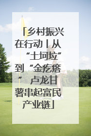 乡村振兴在行动丨从“土坷垃”到“金疙瘩” 卢龙甘薯串起富民产业链