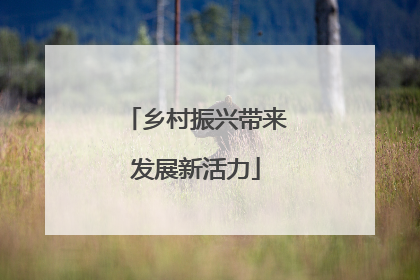 乡村振兴带来发展新活力