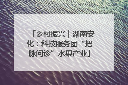 乡村振兴｜湖南安化：科技服务团“把脉问诊”水果产业