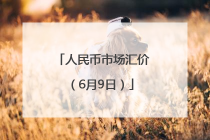 人民币市场汇价（6月9日）
