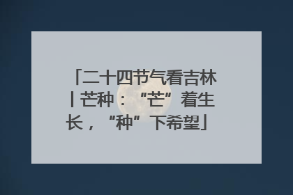 二十四节气看吉林丨芒种：“芒”着生长，“种”下希望