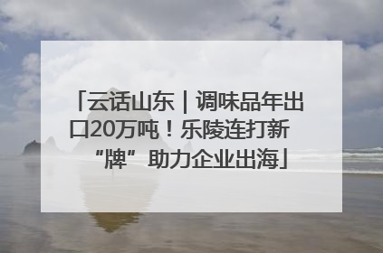 云话山东｜调味品年出口20万吨！乐陵连打新“牌”助力企业出海