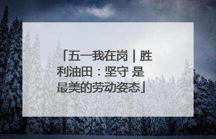 五一我在岗｜胜利油田：坚守 是最美的劳动姿态