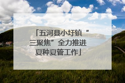 五河县小圩镇“三聚焦”全力推进夏种夏管工作