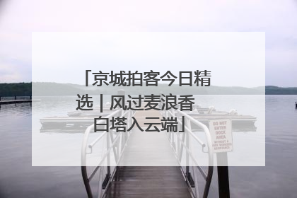 京城拍客今日精选｜风过麦浪香 白塔入云端