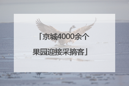 京城4000余个果园迎接采摘客