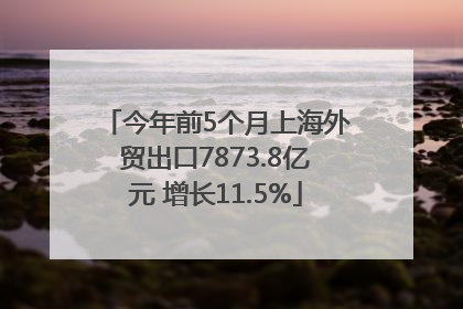 今年前5个月上海外贸出口7873.8亿元 增长11.5%