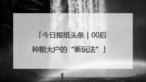今日报纸头条｜00后种粮大户的“新玩法”