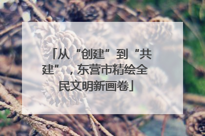 从“创建”到“共建”，东营市精绘全民文明新画卷