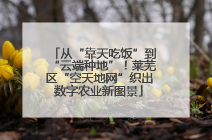 从“靠天吃饭”到“云端种地”！莱芜区“空天地网”织出数字农业新图景