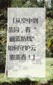 从空中到茶园，看“藏蓝防线”如何守护云雾茶香！