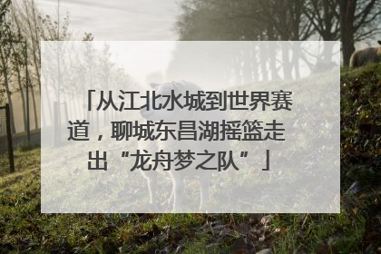 从江北水城到世界赛道，聊城东昌湖摇篮走出“龙舟梦之队”