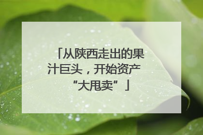 从陕西走出的果汁巨头，开始资产“大甩卖”