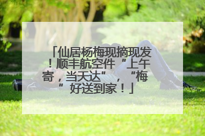 仙居杨梅现摘现发！顺丰航空件“上午寄，当天达”，“梅”好送到家！