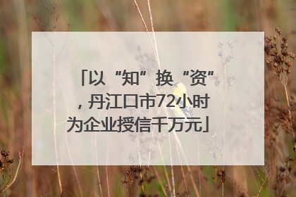 以“知”换“资”，丹江口市72小时为企业授信千万元