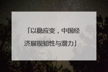 以稳应变，中国经济展现韧性与潜力