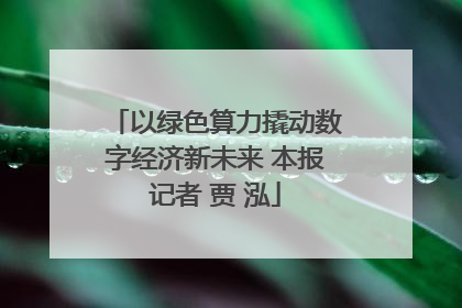 以绿色算力撬动数字经济新未来 本报记者 贾 泓