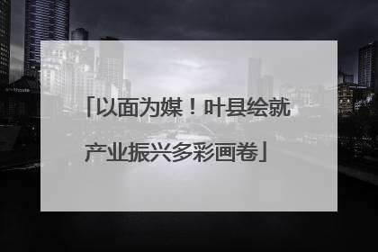 以面为媒！叶县绘就产业振兴多彩画卷