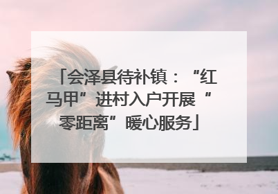 会泽县待补镇：“红马甲”进村入户开展“零距离”暖心服务