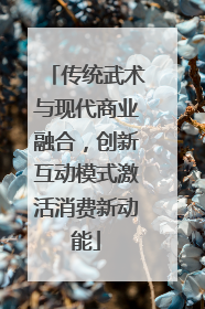 传统武术与现代商业融合，创新互动模式激活消费新动能
