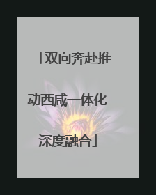 双向奔赴推动西咸一体化深度融合