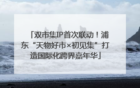 双市集IP首次联动！浦东“天物好市×初见集”打造国际化跨界嘉年华