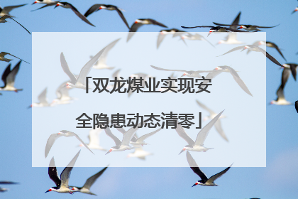双龙煤业实现安全隐患动态清零