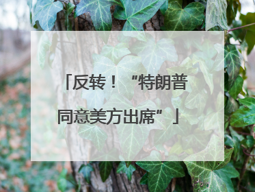 反转！“特朗普同意美方出席”