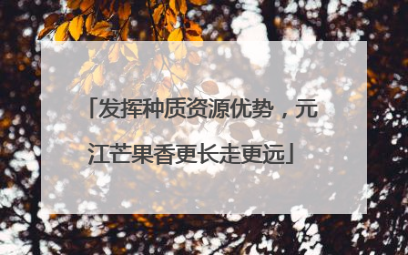 发挥种质资源优势，元江芒果香更长走更远