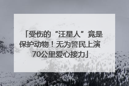 受伤的“汪星人”竟是保护动物！无为警民上演70公里爱心接力