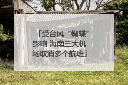 受台风“蝴蝶”影响 海南三大机场取消多个航班