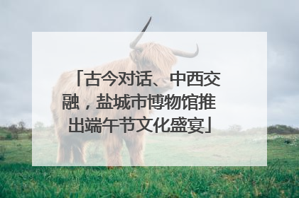 古今对话、中西交融，盐城市博物馆推出端午节文化盛宴