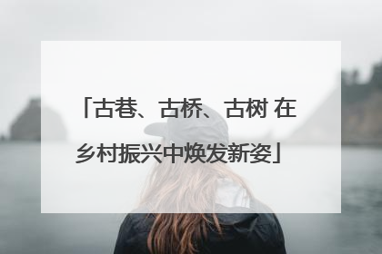 古巷、古桥、古树 在乡村振兴中焕发新姿
